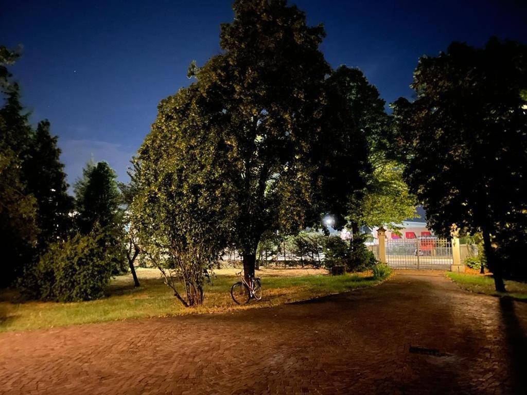 Villa Peonia Parma Dış mekan fotoğraf